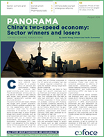 china_report_panorama