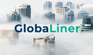 GlobaLiner: Gestão do Risco de Crédito Comercial para Multinacionais